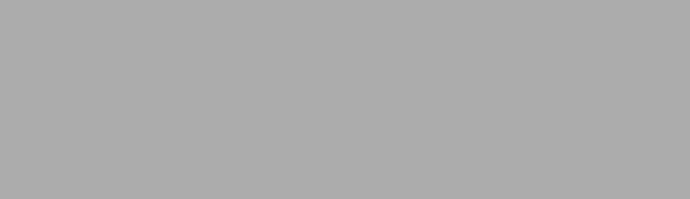 Platzhaltergrafik für ein Webseiten-Banner. Hier gibt es nichts zu sehen.